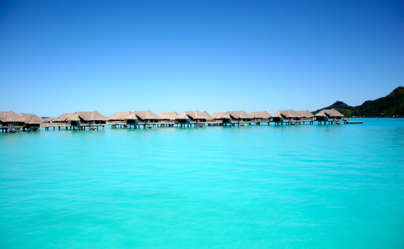 A different kind of&nbsp;paradise