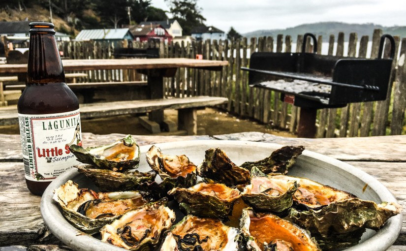 Hog Island Oysters