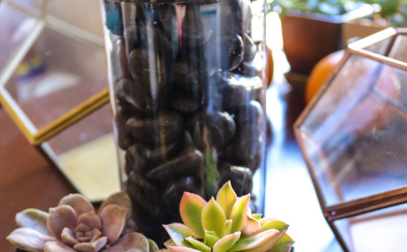 Terrarium Build –&nbsp;DIY