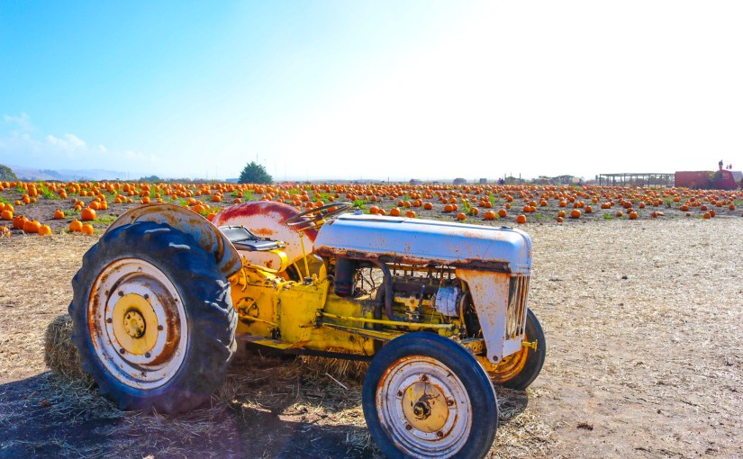 Half Moon Bay&nbsp;Monday!