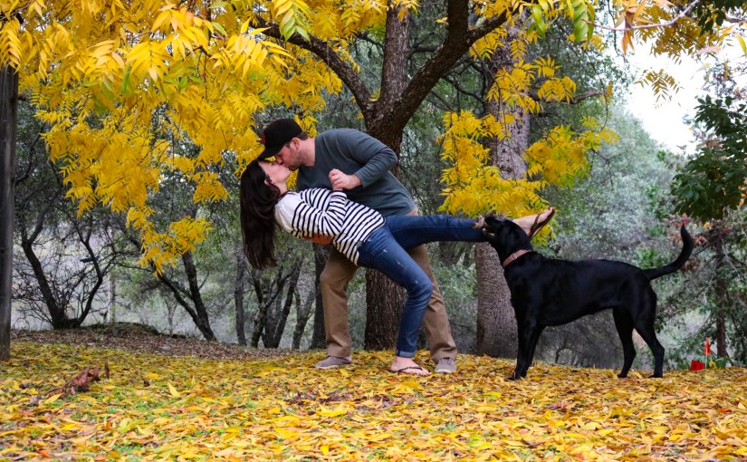 Thanksgiving Back Home & Back&nbsp;Blogging