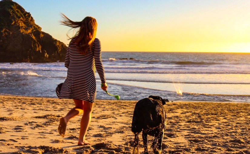 Pfieffer Beach & the never ending drive to&nbsp;Pismo.