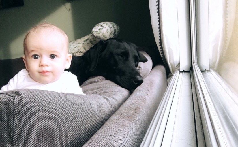 I said I’d never; but I already&nbsp;have…