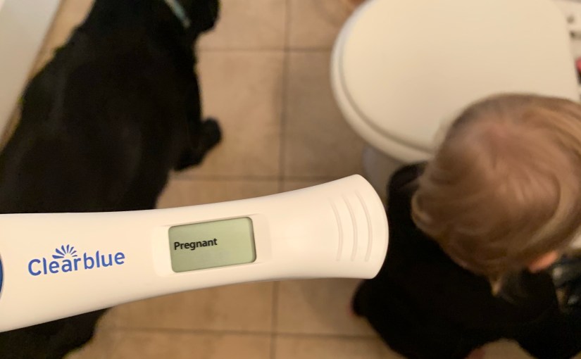 Pregnancy Diaries: First Trimester&nbsp;Truths